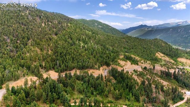 8743 High Mark Point, Woodland Park, CO 80863