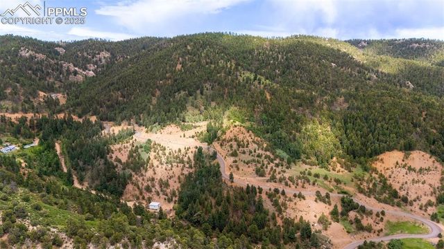 8743 High Mark Point, Woodland Park, CO 80863