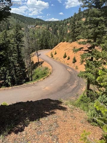 8743 High Mark Point, Woodland Park, CO 80863