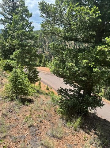 8743 High Mark Point, Woodland Park, CO 80863