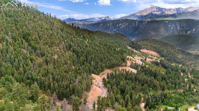 8743 High Mark Point, Woodland Park, CO 80863