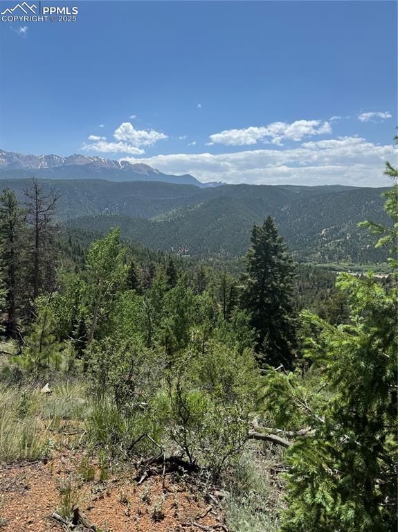 8743 High Mark Point, Woodland Park, CO 80863