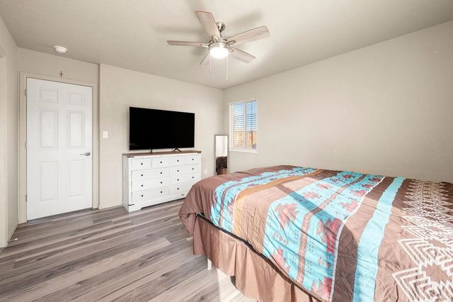 312 Catkin Street, Fruita, CO 81521