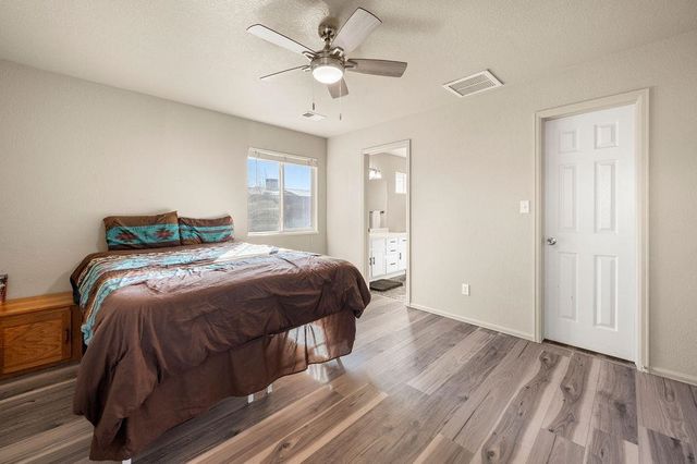 312 Catkin Street, Fruita, CO 81521