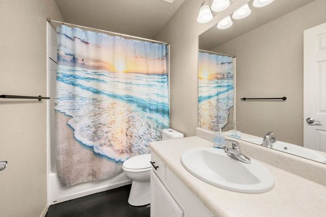 312 Catkin Street, Fruita, CO 81521