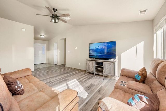 312 Catkin Street, Fruita, CO 81521