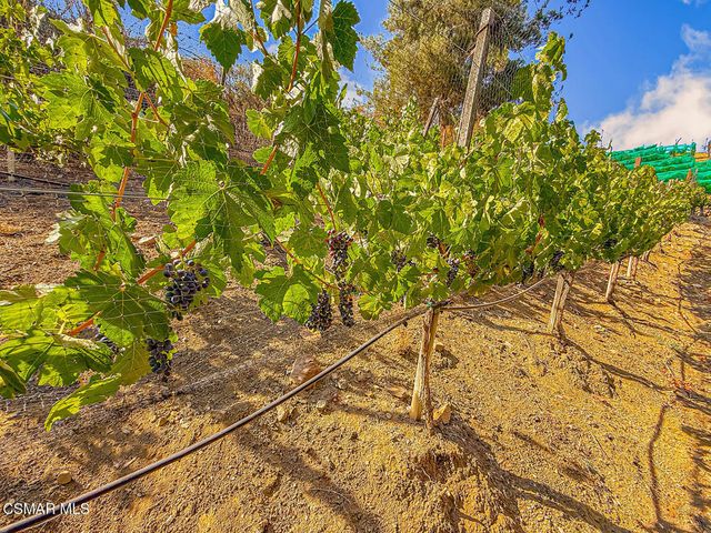 31145 Lobo Vista Road, Agoura Hills, CA 91301