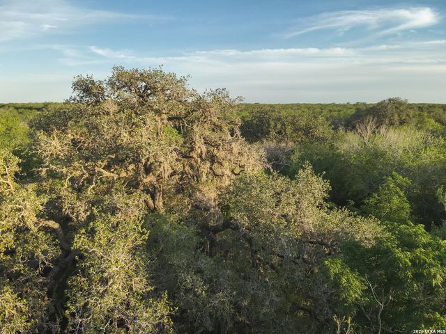 1305 FM 799, George West, TX 78022