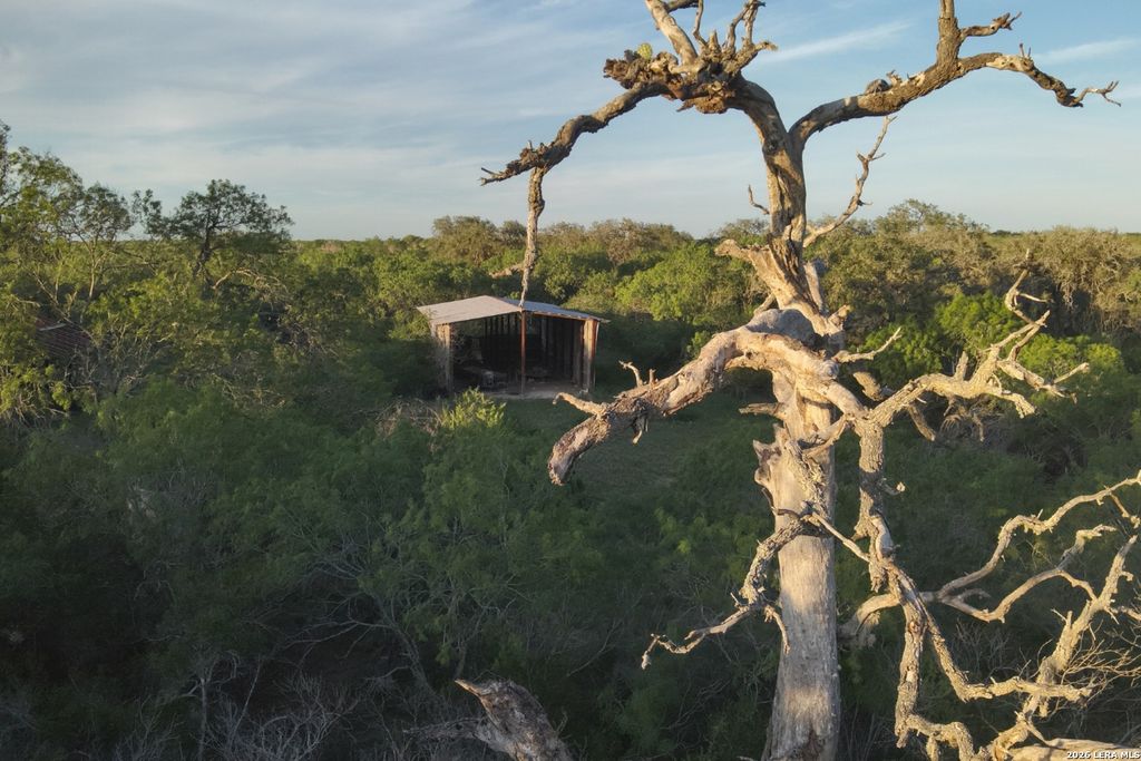 1305 FM 799, George West, TX 78022