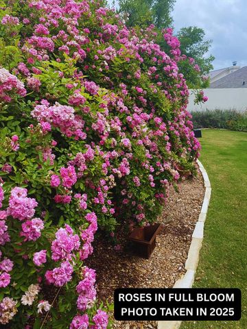 1804 Valencia Dr, Kerrville, TX 78028