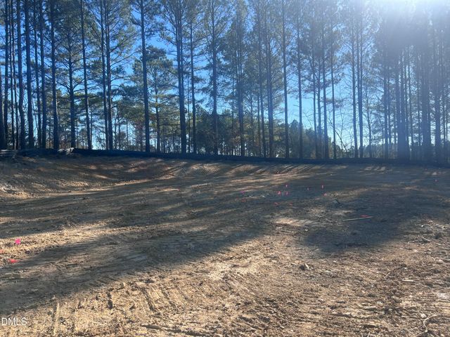 25 Blackhorn Court, Pittsboro, NC 27312