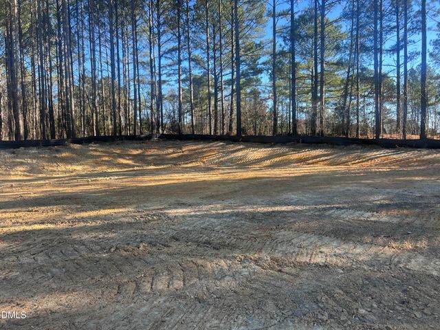 25 Blackhorn Court, Pittsboro, NC 27312