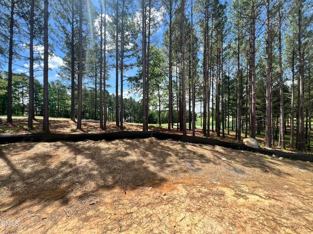 25 Blackhorn Court, Pittsboro, NC 27312