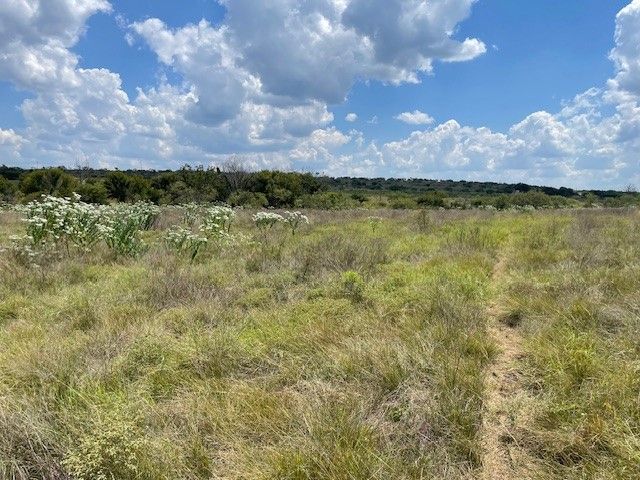 217 Park Meadows Drive, Gustine, TX 76455