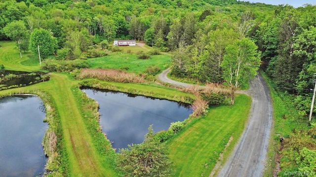 308 William Brown Road, Fremont, NY 12736