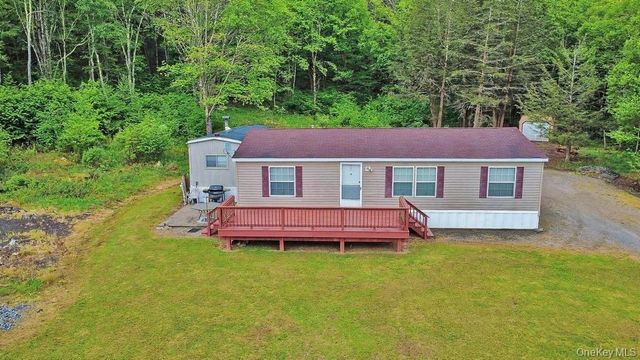 308 William Brown Road, Fremont, NY 12736