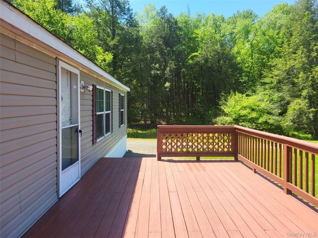 308 William Brown Road, Fremont, NY 12736