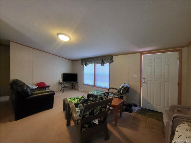 308 William Brown Road, Fremont, NY 12736