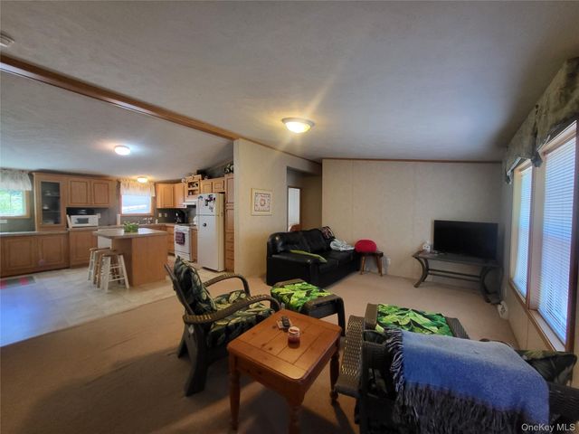 308 William Brown Road, Fremont, NY 12736