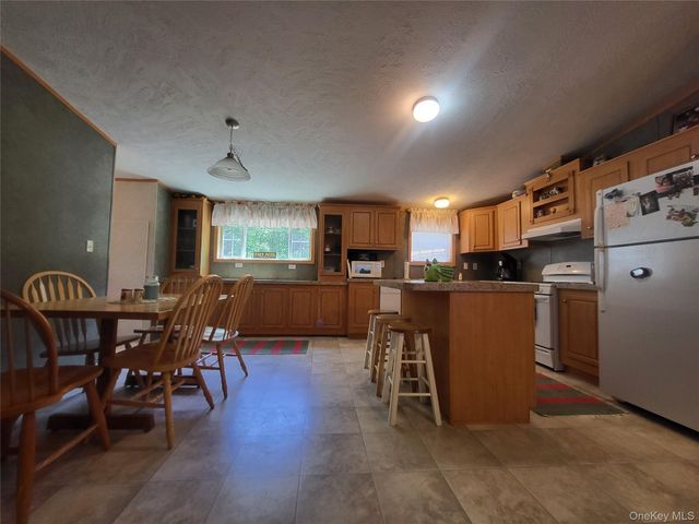 308 William Brown Road, Fremont, NY 12736
