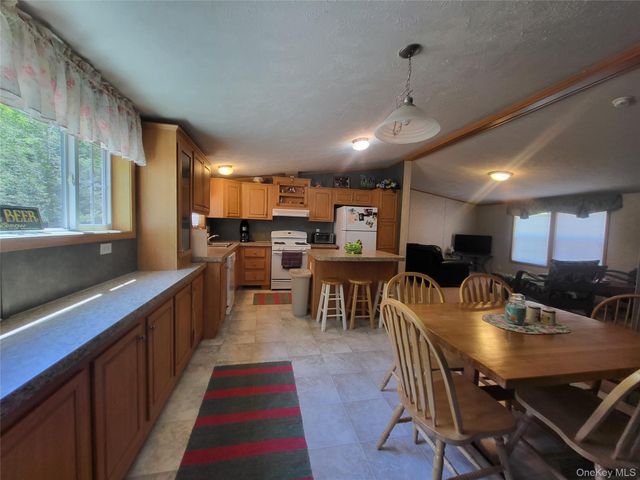 308 William Brown Road, Fremont, NY 12736