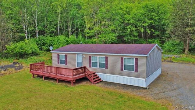 308 William Brown Road, Fremont, NY 12736