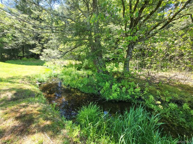 308 William Brown Road, Fremont, NY 12736