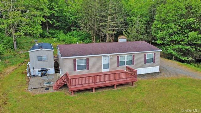 308 William Brown Road, Fremont, NY 12736
