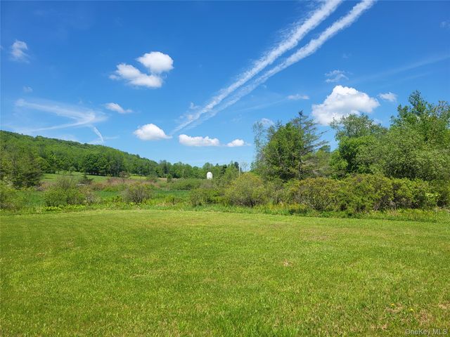 308 William Brown Road, Fremont, NY 12736