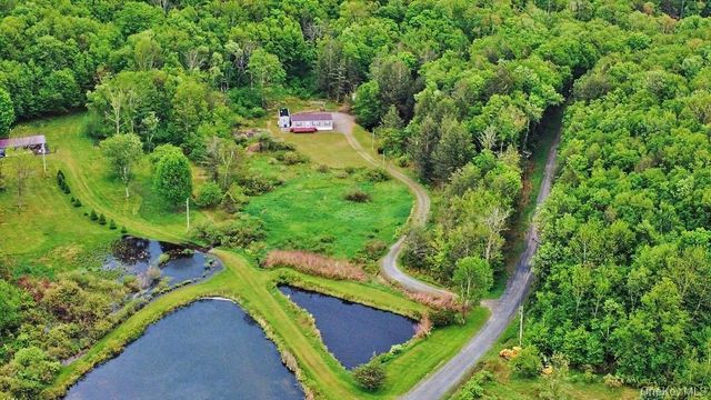 308 William Brown Road, Fremont, NY 12736