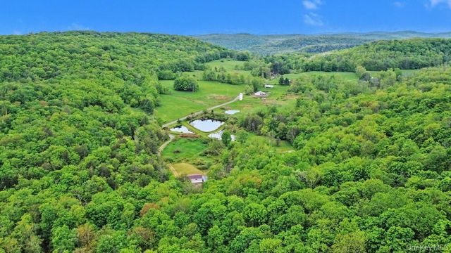308 William Brown Road, Fremont, NY 12736