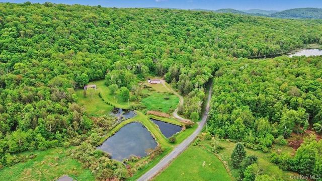 308 William Brown Road, Fremont, NY 12736