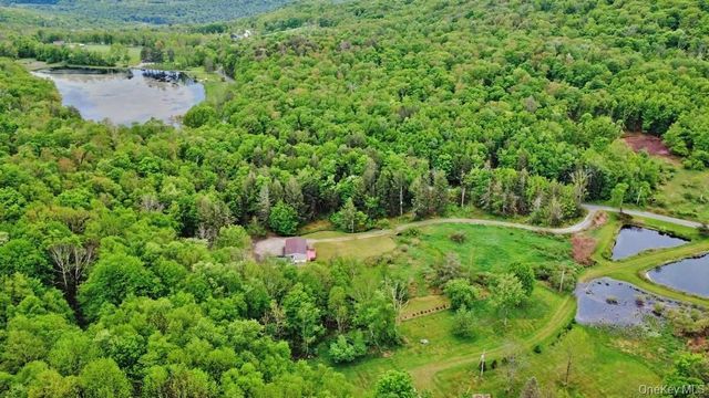 308 William Brown Road, Fremont, NY 12736