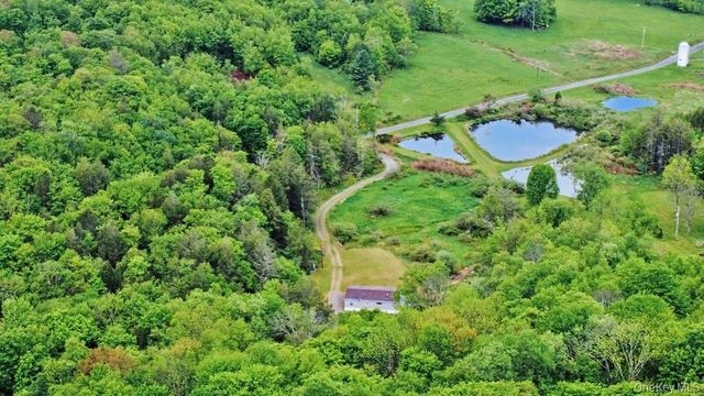 308 William Brown Road, Fremont, NY 12736