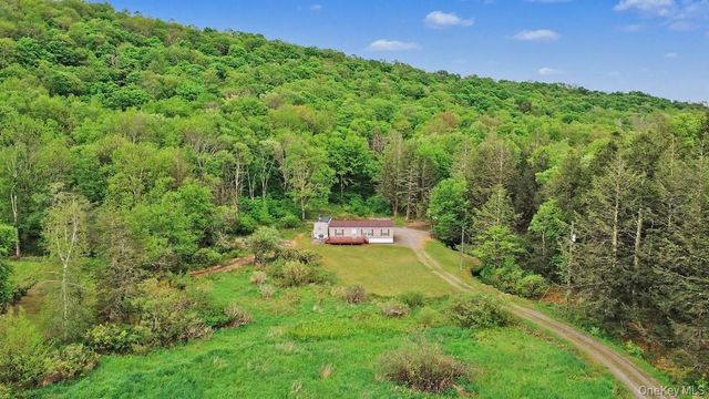 308 William Brown Road, Fremont, NY 12736