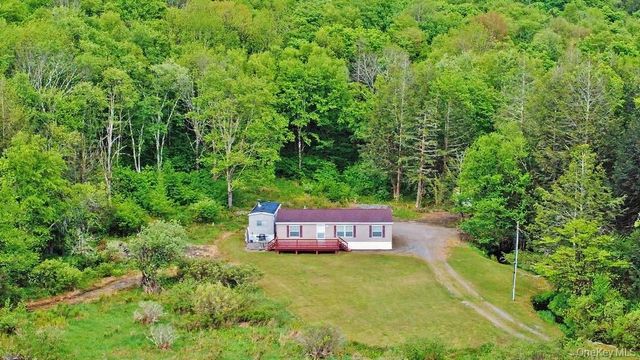 308 William Brown Road, Fremont, NY 12736