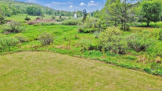 308 William Brown Road, Fremont, NY 12736