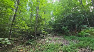Lot 14 Kilpatrick Point Terrace, Hayesville, NC 28904