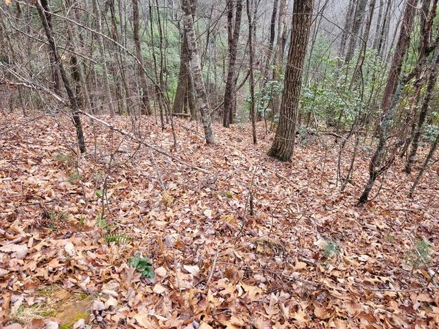 Lot 49 Slate Stone Lane, Hayesville, NC 28904