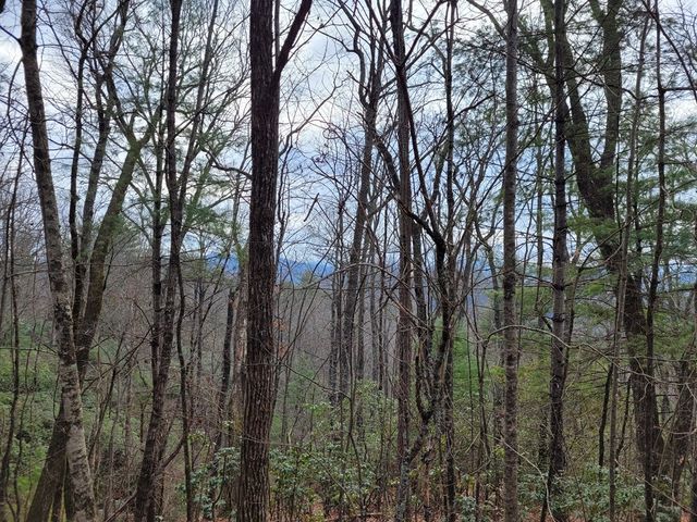 Lot 49 Slate Stone Lane, Hayesville, NC 28904