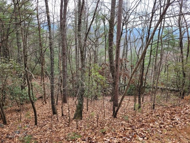 Lot 49 Slate Stone Lane, Hayesville, NC 28904