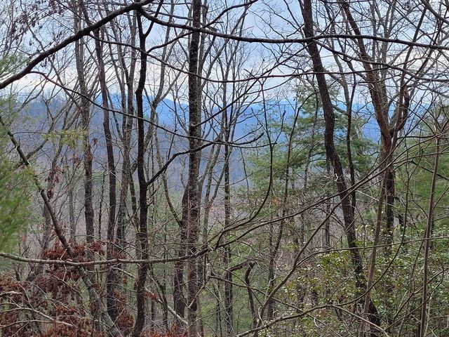 Lot 49 Slate Stone Lane, Hayesville, NC 28904