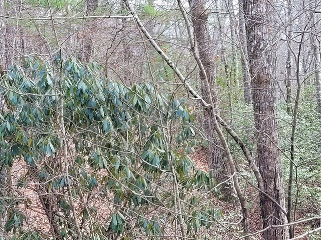 Lot 49 Slate Stone Lane, Hayesville, NC 28904