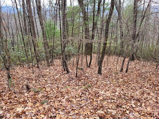 Lot 49 Slate Stone Lane, Hayesville, NC 28904