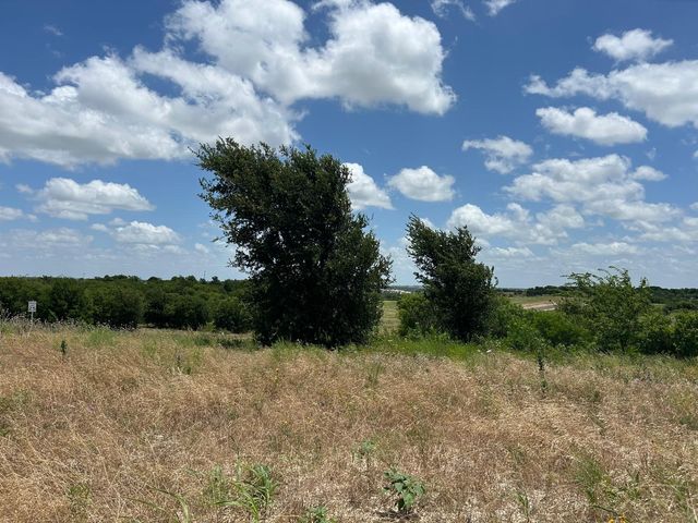 2521 Tom Chaney Drive 104, Cresson, TX 76035