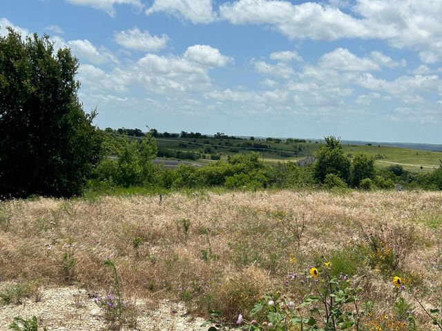 2521 Tom Chaney Drive 104, Cresson, TX 76035