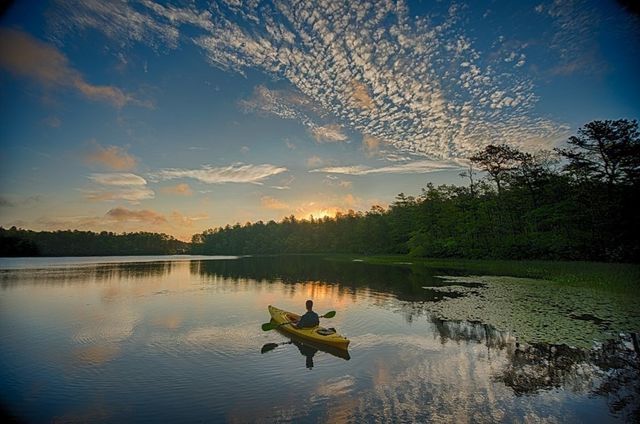 99 Sunflower Way, Plymouth, MA 02360