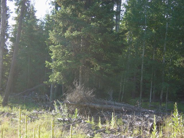 NHN Lot 10 Davis Creek Road, Libby, MT 59923 property photo