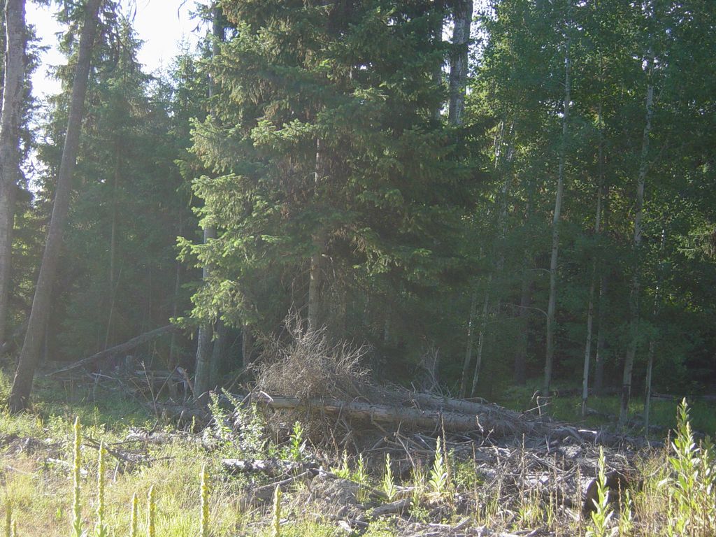 NHN Lot 10 Davis Creek Road, Libby, MT 59923 photo 1
