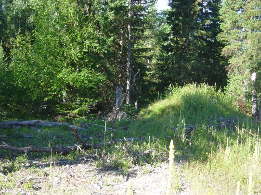 NHN Lot 10 Davis Creek Road, Libby, MT 59923 photo 2